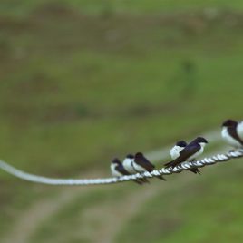 Fotografia – Bem Aventurança