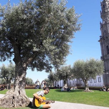 Mão na Massa – Vs. Torre dos Clérigos, Porto – Portugal